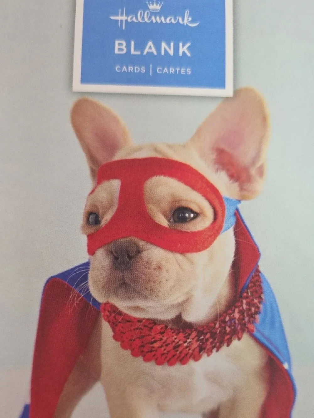Hallmark Dog & Cat Black Cards Set